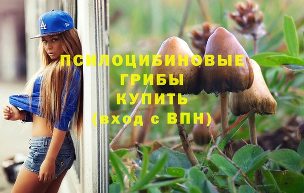 крисы Дмитровск