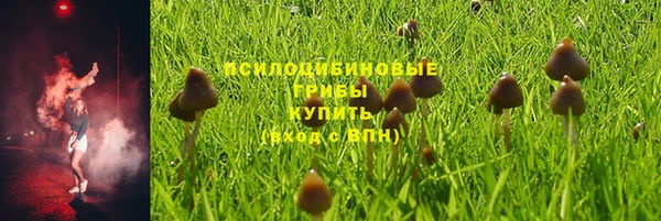 кокаин Гусь-Хрустальный